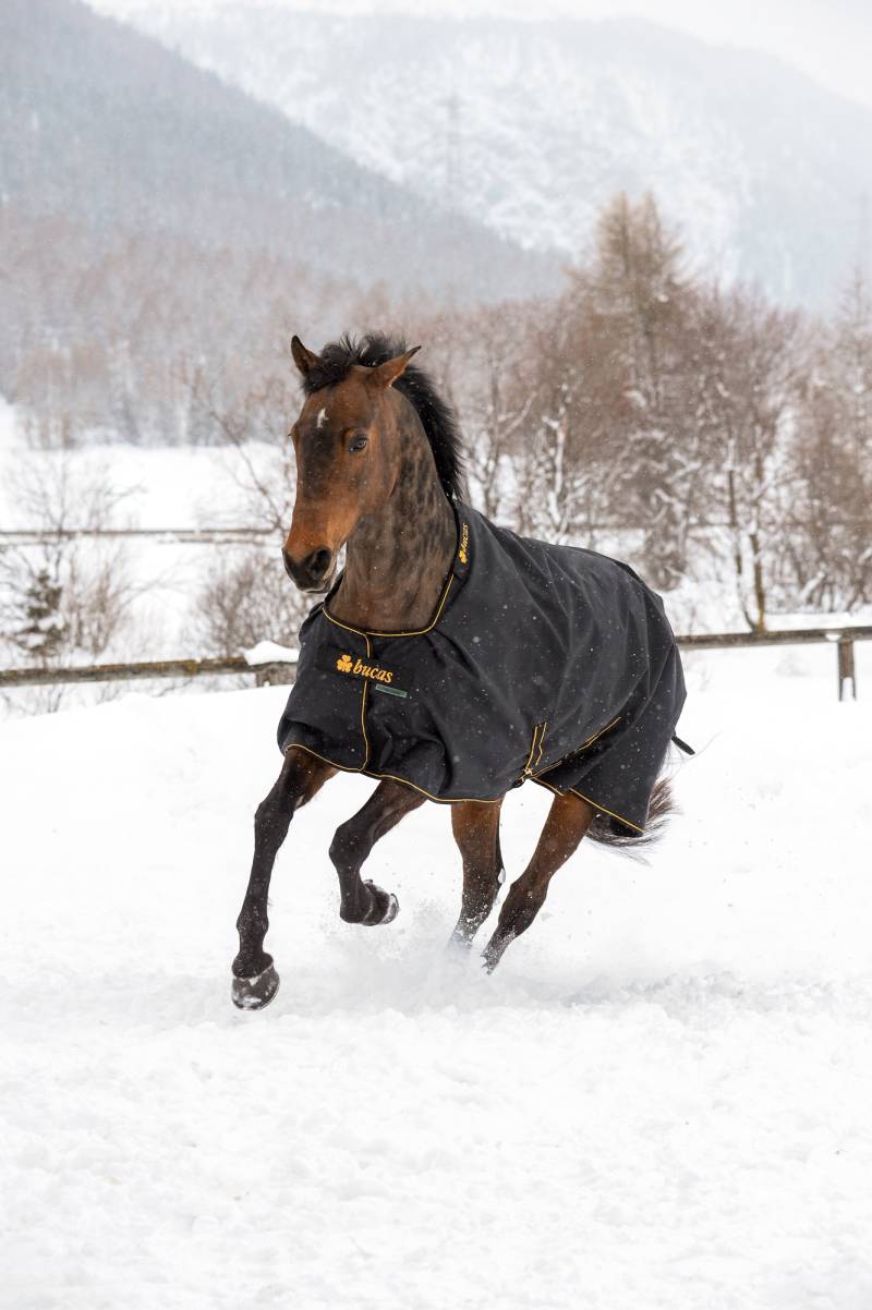 Bucas Irish Turnout 300g Black/Gold, Gr. 135 cm Bucas Irish Turnout 300g Black/Gold, Gr. 135 cm von Bucas