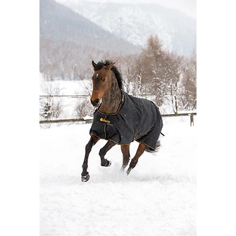 Bucas Irish Turnout 300g Black/Gold, Gr. 155 cm Bucas Irish Turnout 300g Black/Gold, Gr. 155 cm von Bucas