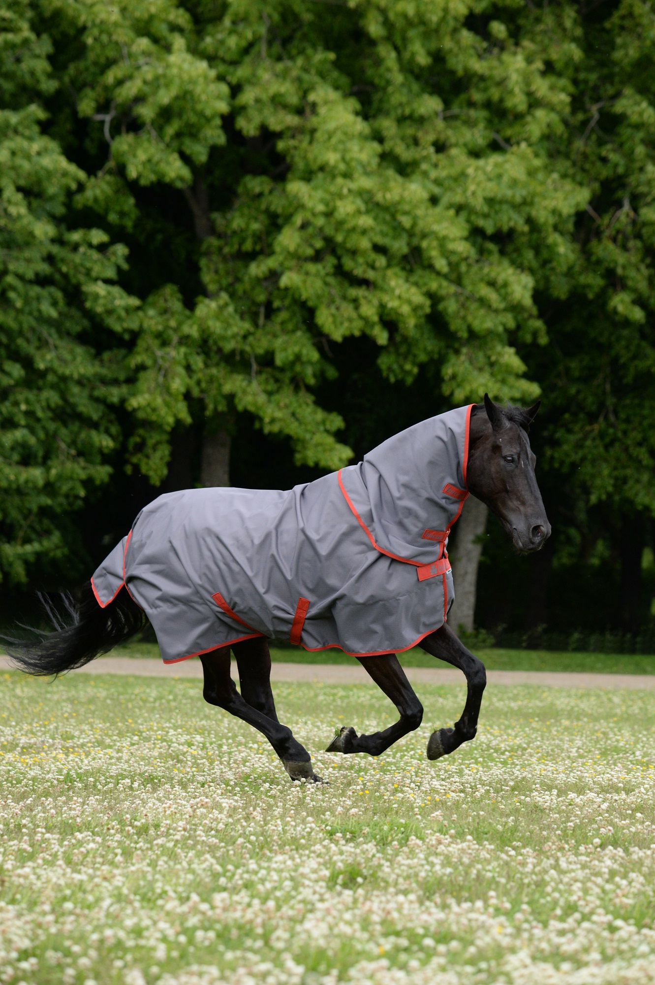 Bucas Irish Turnout Combi Neck Halsteil 0g 145/L, Grey/red Bucas Irish Turnout Combi Neck Halsteil 0g 145/L, Grey/red von Bucas