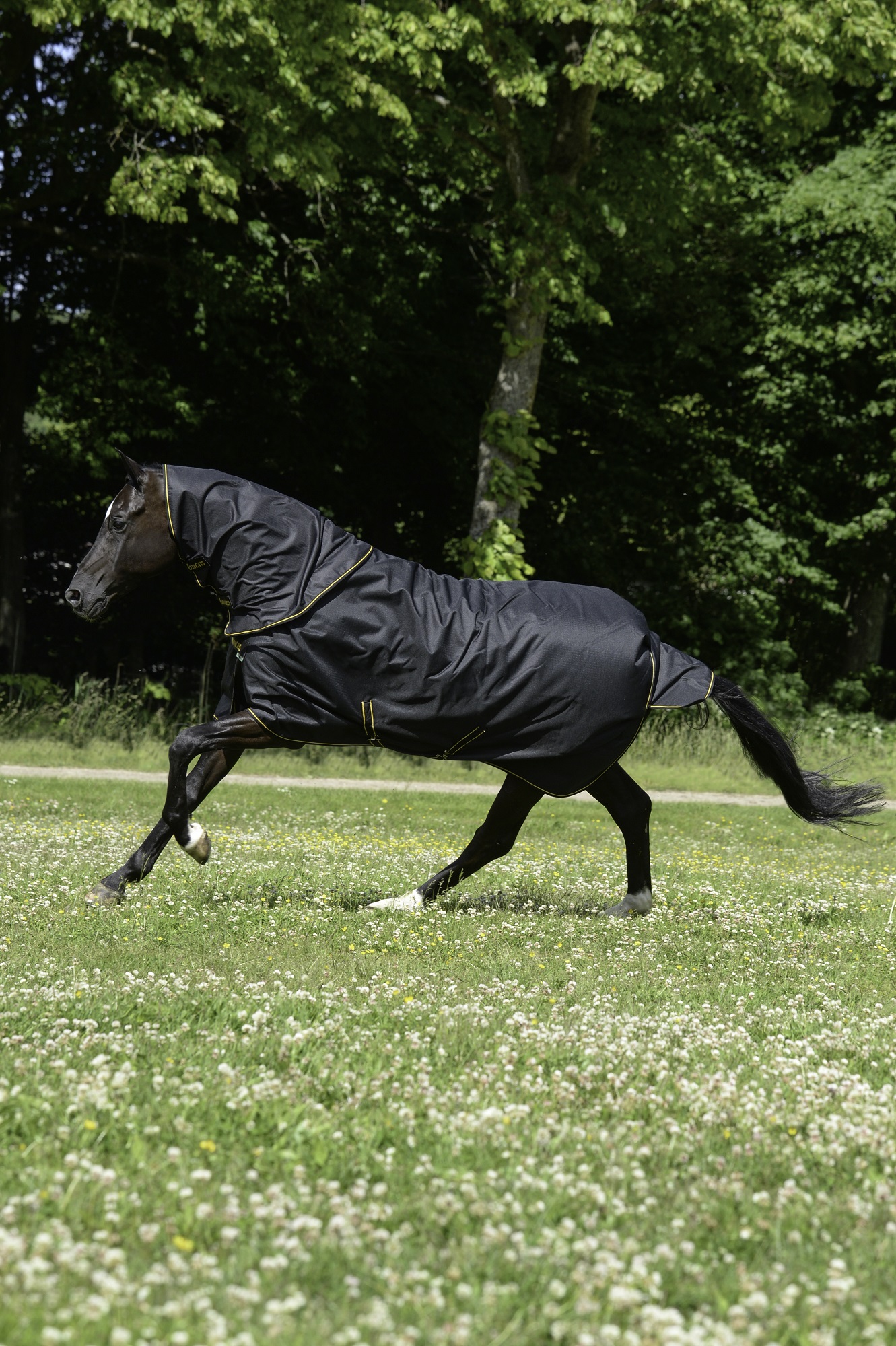 Bucas Irish Turnout Combi Neck Halsteil 0g Black/Gold, Gr. 135/M Bucas Irish Turnout Combi Neck Halsteil 0g Black/Gold, Gr. 135/M von Bucas