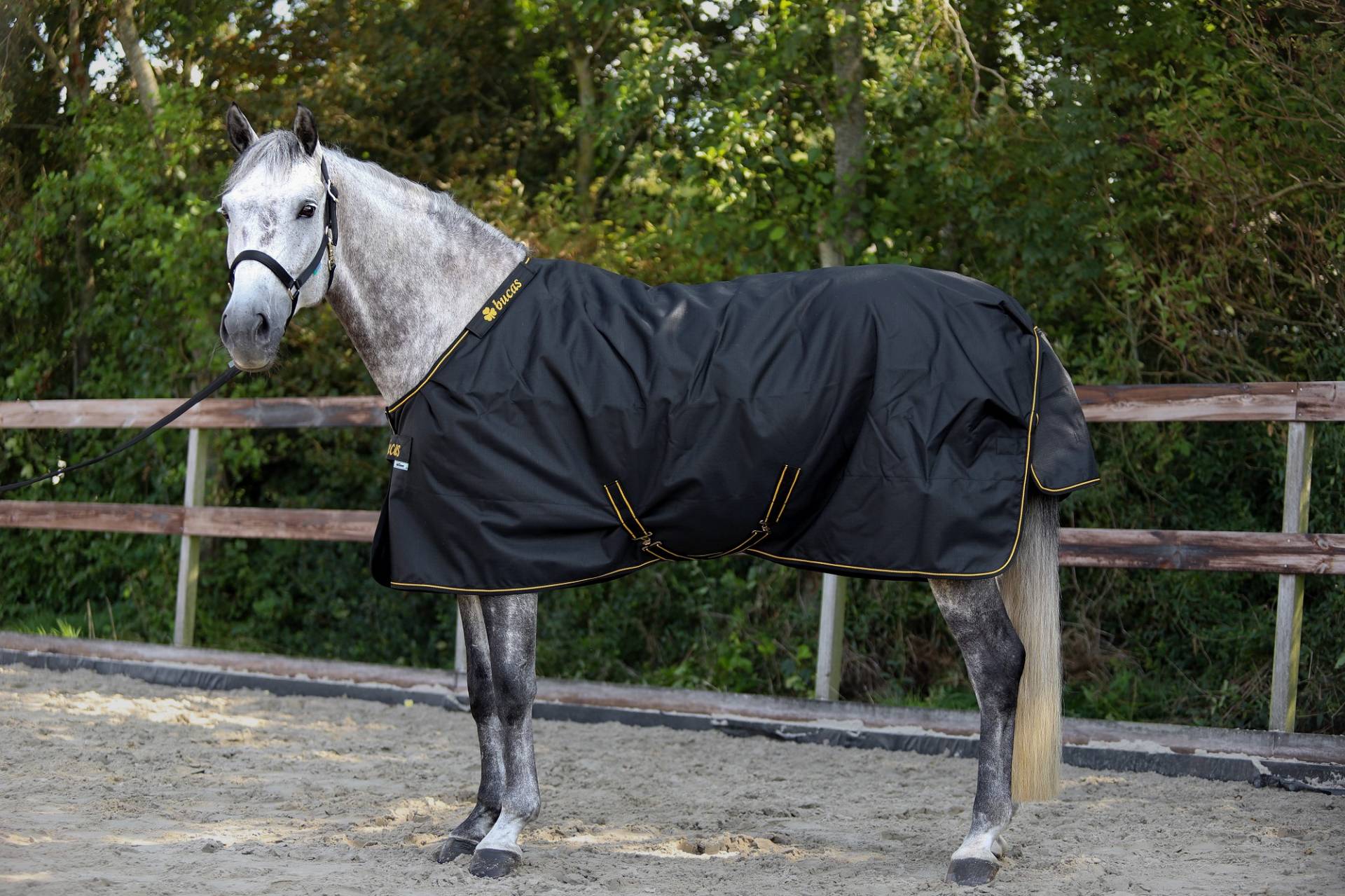 Bucas Irish Turnout Light/50g Black/Gold, Gr. 125 cm Bucas Irish Turnout Light/50g Black/Gold, Gr. 125 cm von Bucas