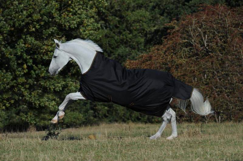 Bucas Irish Turnout Light/50g H/N Black/Gold, Gr. 155 cm Bucas Irish Turnout Light/50g H/N Black/Gold, Gr. 155 cm von Bucas