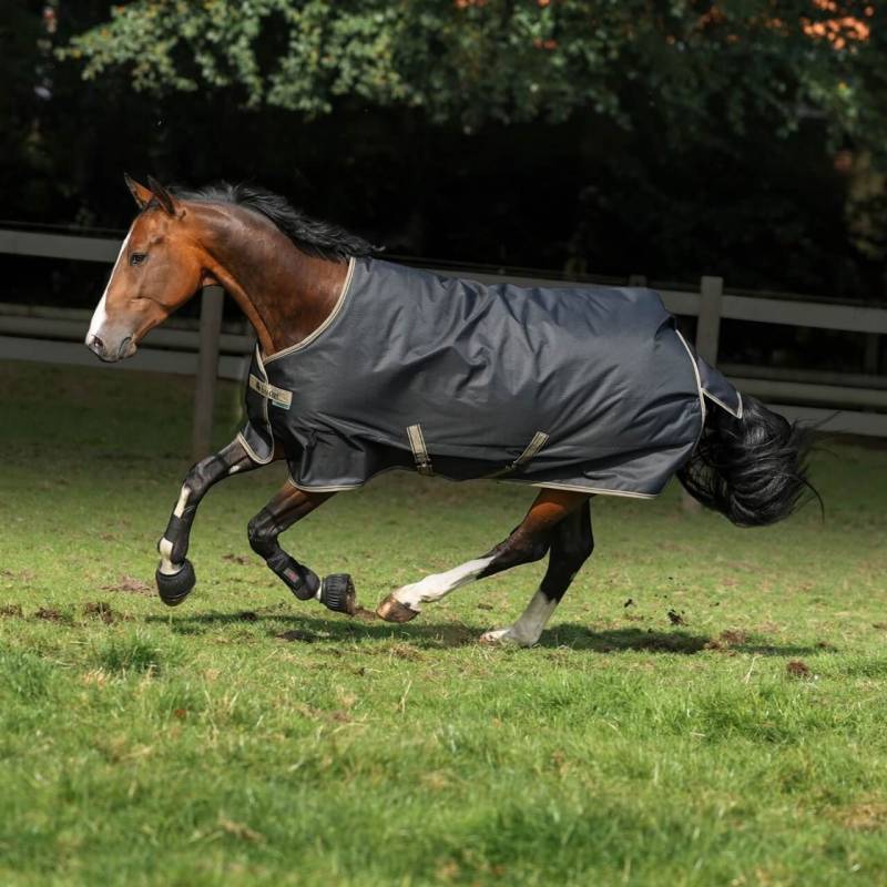 Bucas Outdoordecke Freedom Turnout 150g Black/ Taupe, Gr. 135 cm Bucas Outdoordecke Freedom Turnout 150g Black/ Taupe, Gr. 135 cm von Bucas