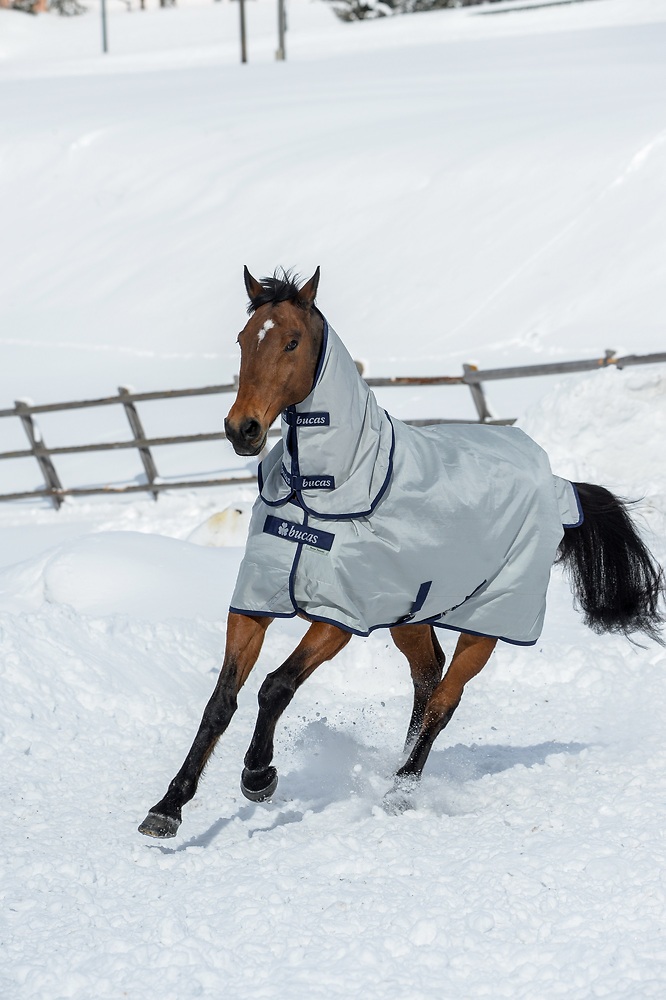 Bucas Power Turnout Combi Neck 0g Halsteil Silver, Gr. 155 cm/Xl Bucas Power Turnout Combi Neck 0g Halsteil Silver, Gr. 155 cm/Xl von Bucas