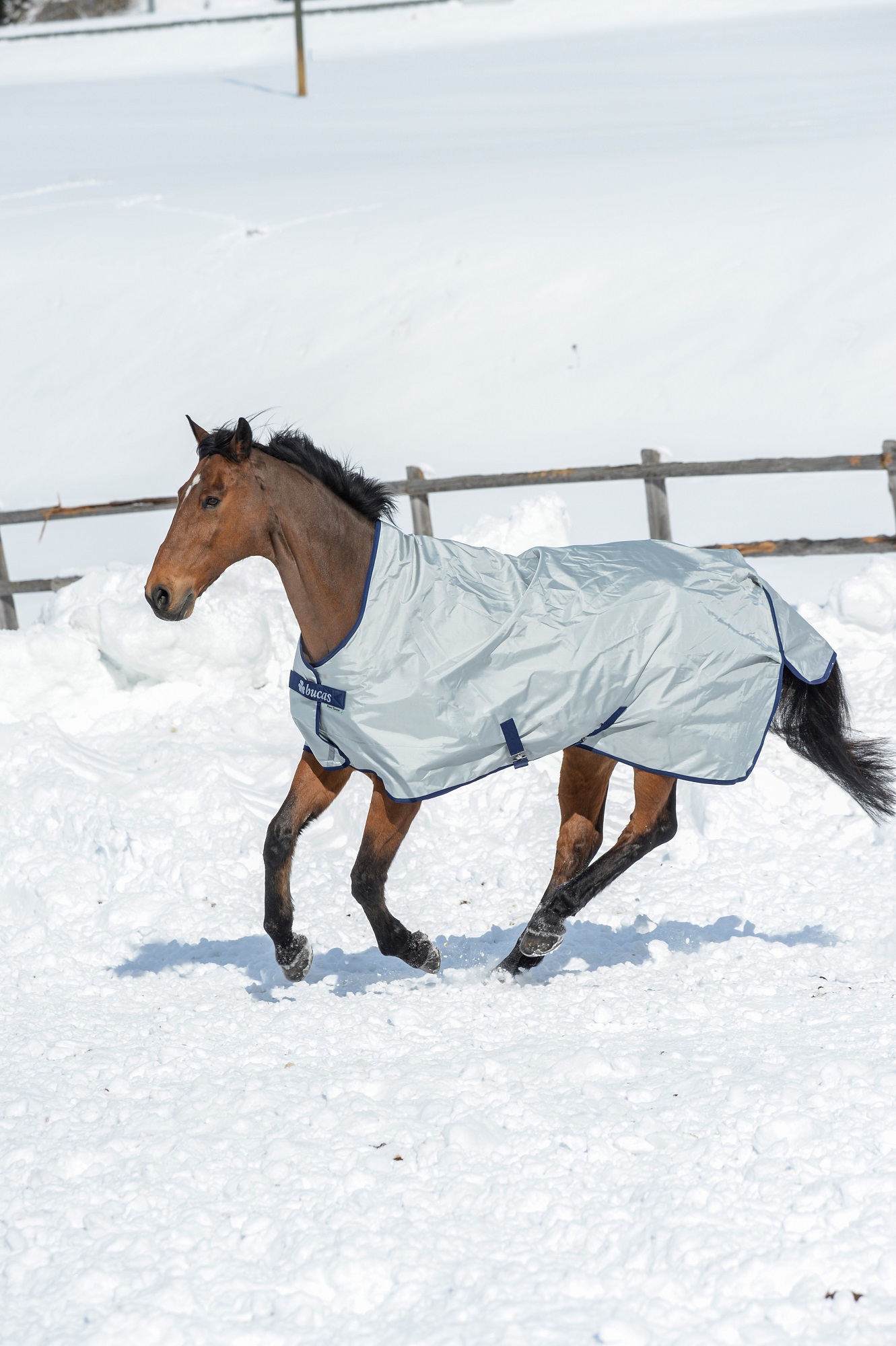 Bucas Power Turnout Light 0g High Neck Silver, Gr. 125 cm Bucas Power Turnout Light 0g High Neck Silver, Gr. 125 cm von Bucas