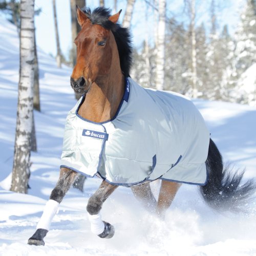 Bucas Power Turnout Light Big Neck 130 Silber von Ewbob