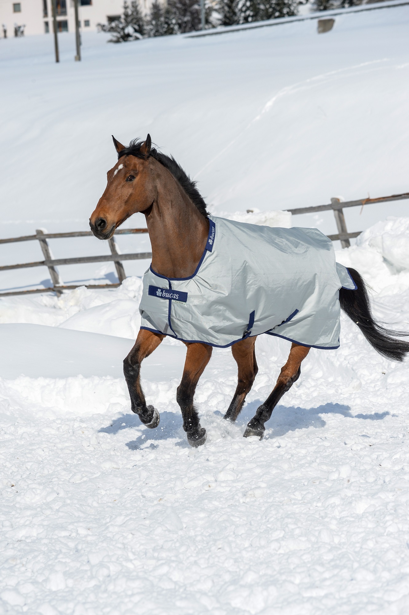 Bucas Power Turnout Medium 150g Silver, Gr. 125 cm Bucas Power Turnout Medium 150g Silver, Gr. 125 cm von Bucas