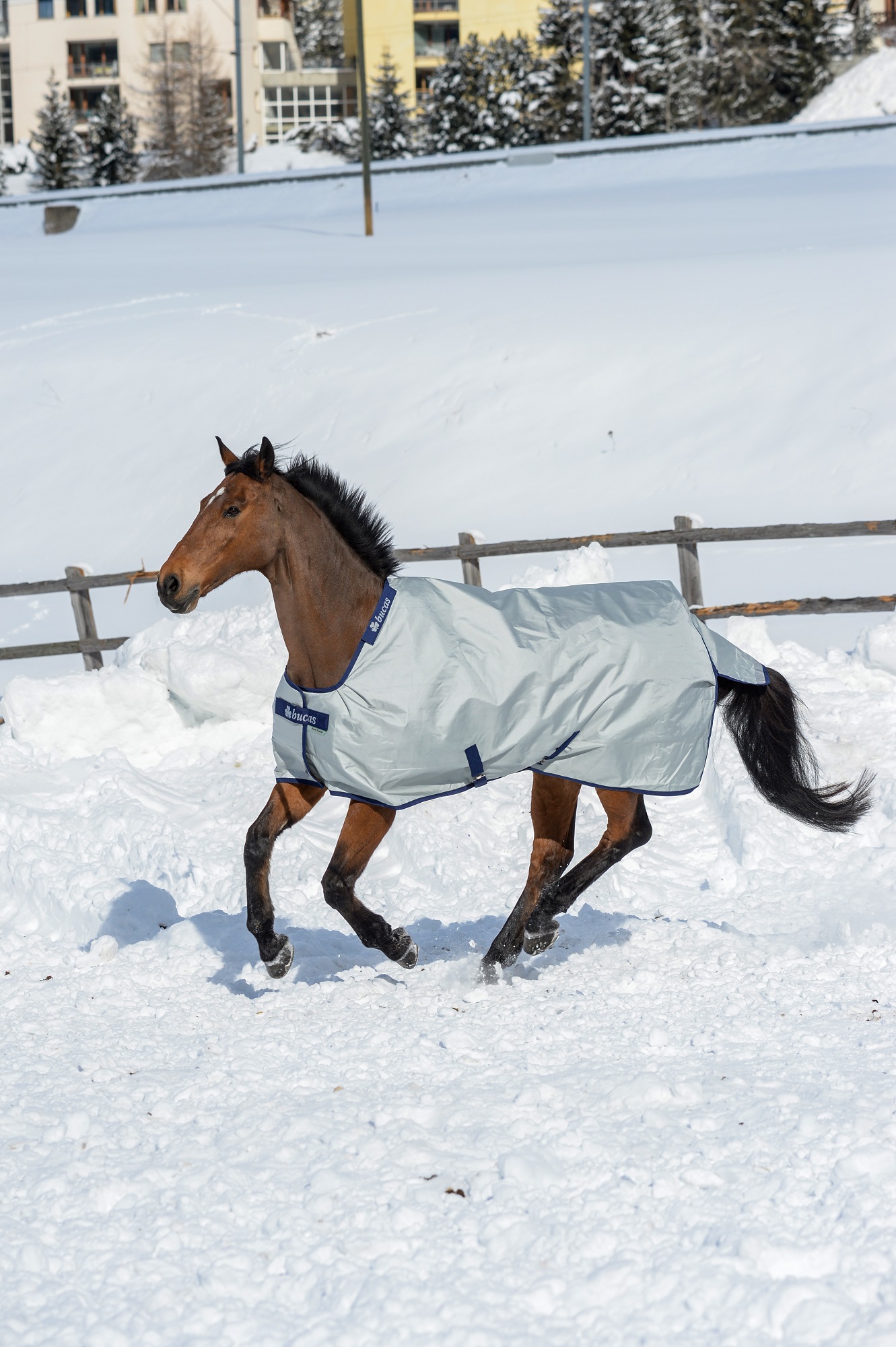 Bucas Power Turnout Medium 150g Silver, Gr. 145 cm Bucas Power Turnout Medium 150g Silver, Gr. 145 cm von Bucas