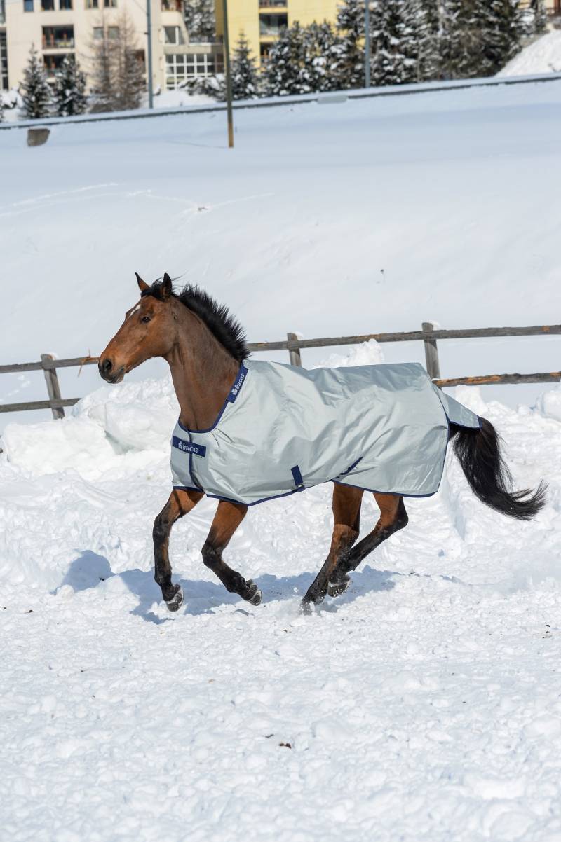 Bucas Power Turnout Medium 150g Silver, Gr. 155 cm Bucas Power Turnout Medium 150g Silver, Gr. 155 cm von Bucas