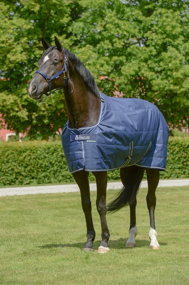 Bucas Quilt 150g Sd Navy, Gr. 155 cm Bucas Quilt 150g Sd Navy, Gr. 155 cm von Bucas
