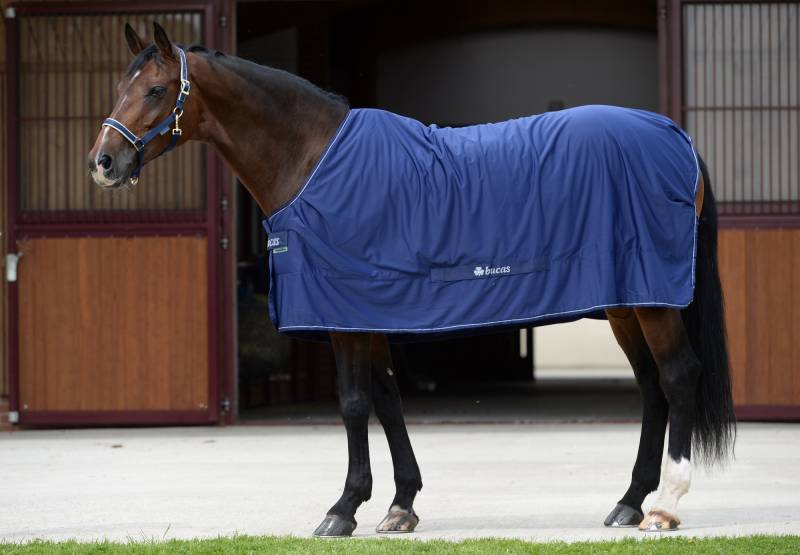 Bucas Shamrock Power Navy/Silver, Gr. 155 cm Bucas Shamrock Power Navy/Silver, Gr. 155 cm von Bucas