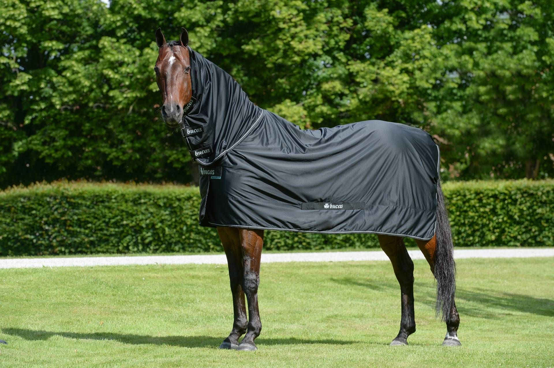 Bucas Shamrock Power mit Halsteil Black/Silver, Gr. 140 cm Bucas Shamrock Power mit Halsteil Black/Silver, Gr. 140 cm von Bucas