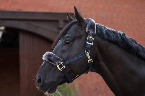 Bucas Show-Line Half Fur Halfter Bucas Show-Line Half Fur Halfter von Bucas