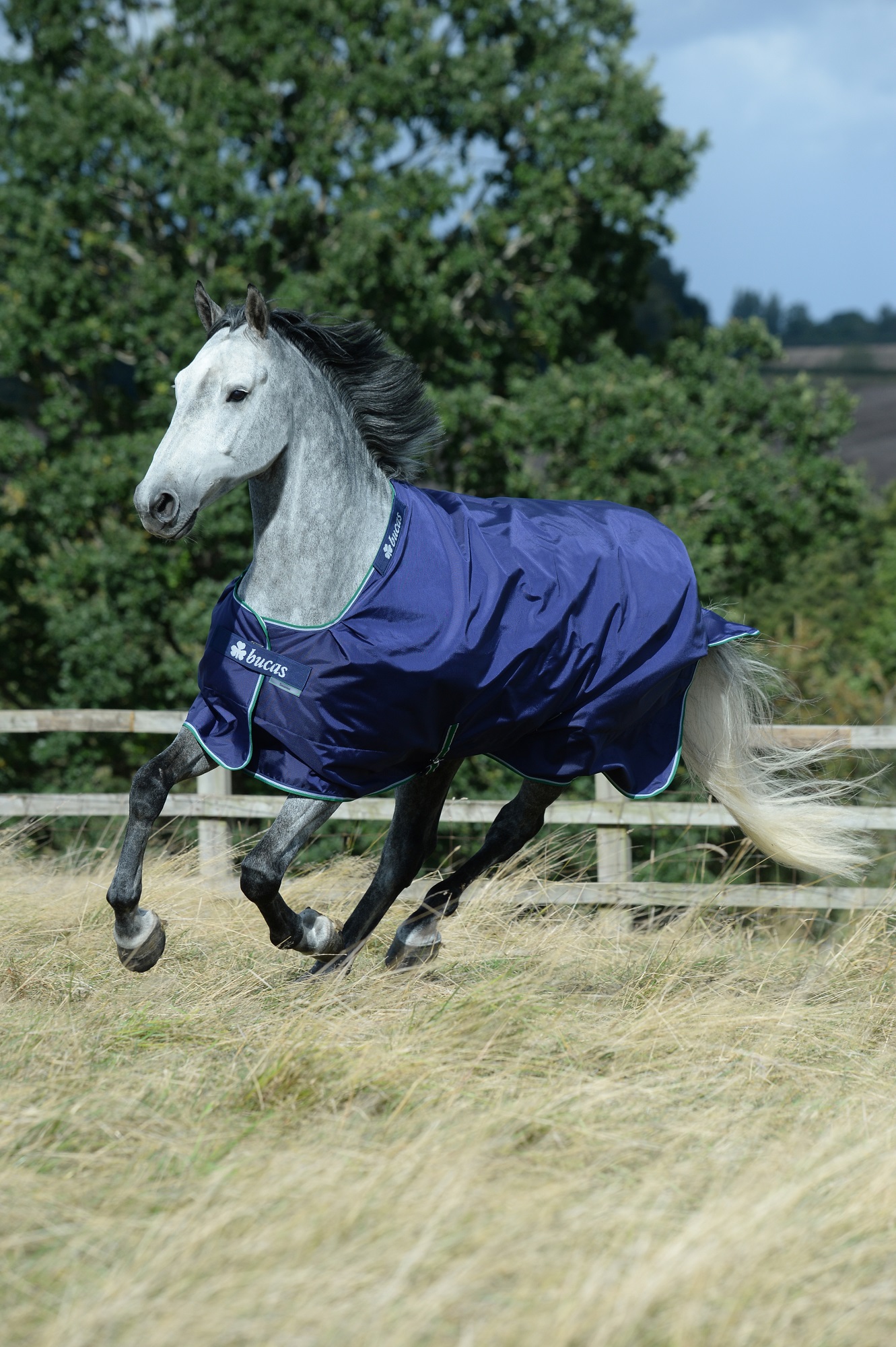 Bucas Smartex Rain 0g Blue, Gr. 145 cm Bucas Smartex Rain 0g Blue, Gr. 145 cm von Bucas