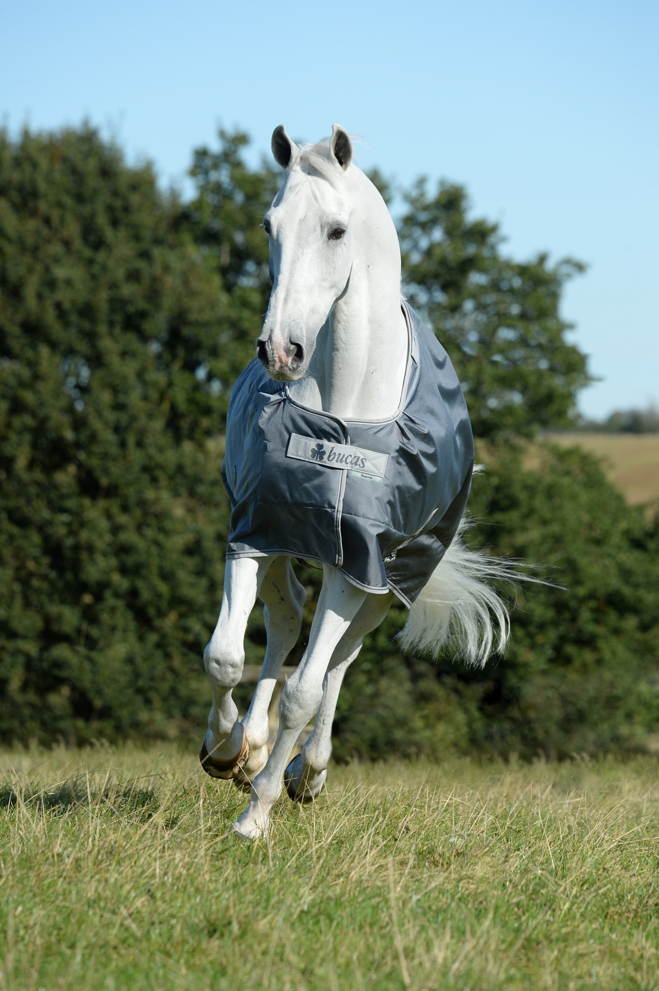 Bucas Smartex Rain 0g Iron Gate, Gr. 130 cm Bucas Smartex Rain 0g Iron Gate, Gr. 130 cm von Bucas