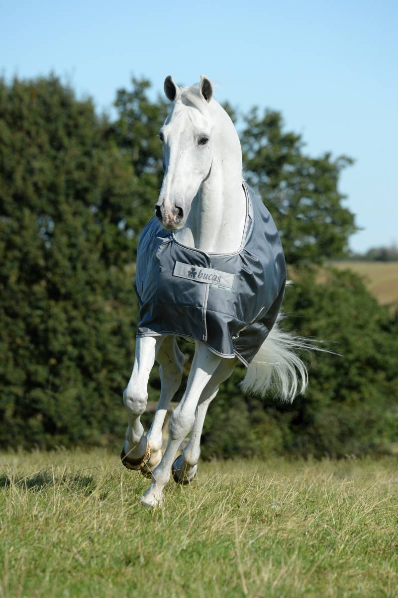 Bucas Smartex Rain 0g Iron Gate, Gr. 140 cm von Bucas