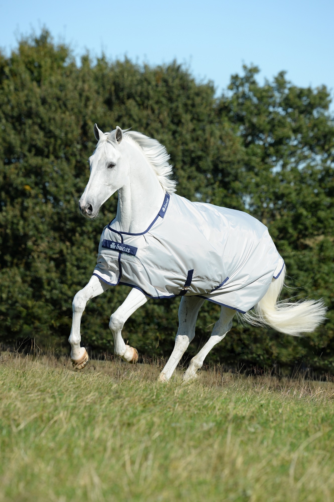 Bucas Sun-Shower Outdoordecke Silver, Gr. 140 cm Bucas Sun-Shower Outdoordecke Silver, Gr. 140 cm von Bucas