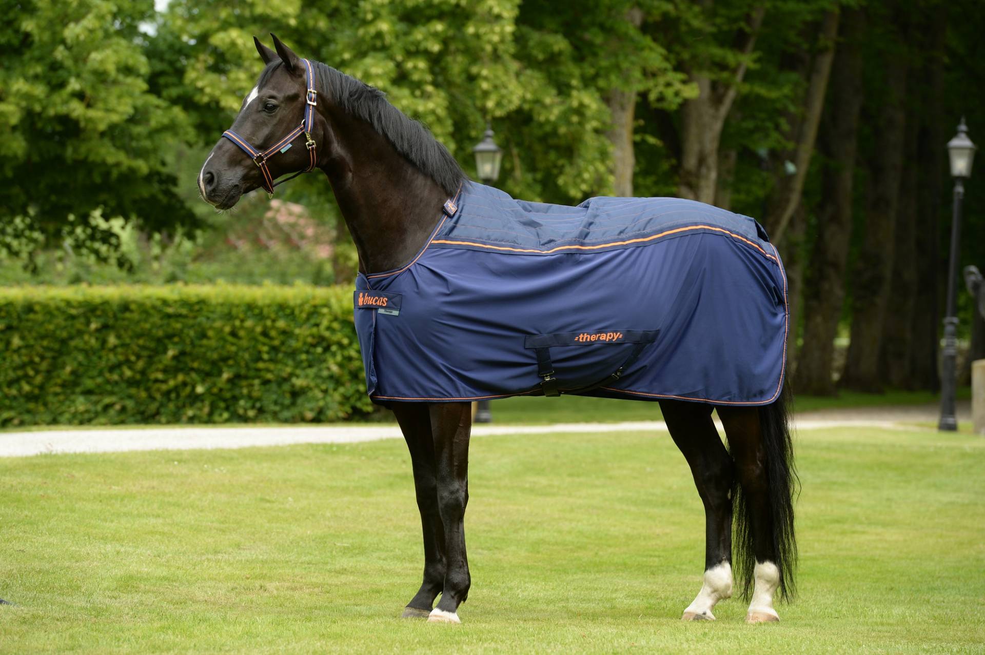 Bucas Therapy Cooler Navy/Orange, 135 cm Bucas Therapy Cooler Navy/Orange, 135 cm von Bucas
