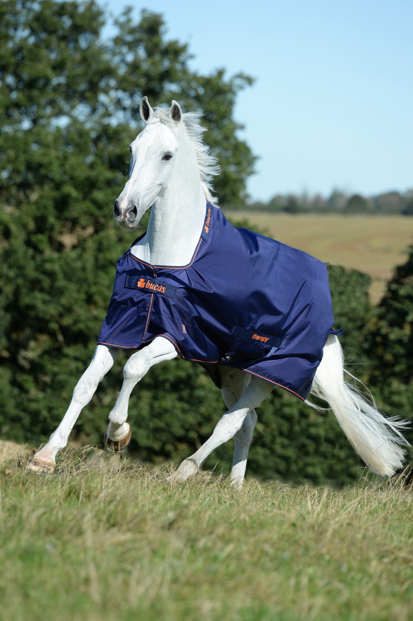 Bucas Therapy Turnout 150 g Navy/Orange, Gr. 145 cm Bucas Therapy Turnout 150 g Navy/Orange, Gr. 145 cm von Bucas