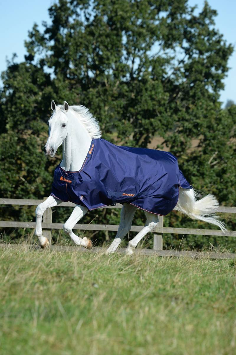 Bucas Therapy Turnout Light 0g Navy/Orange, Gr. 125 cm Bucas Therapy Turnout Light 0g Navy/Orange, Gr. 125 cm von Bucas