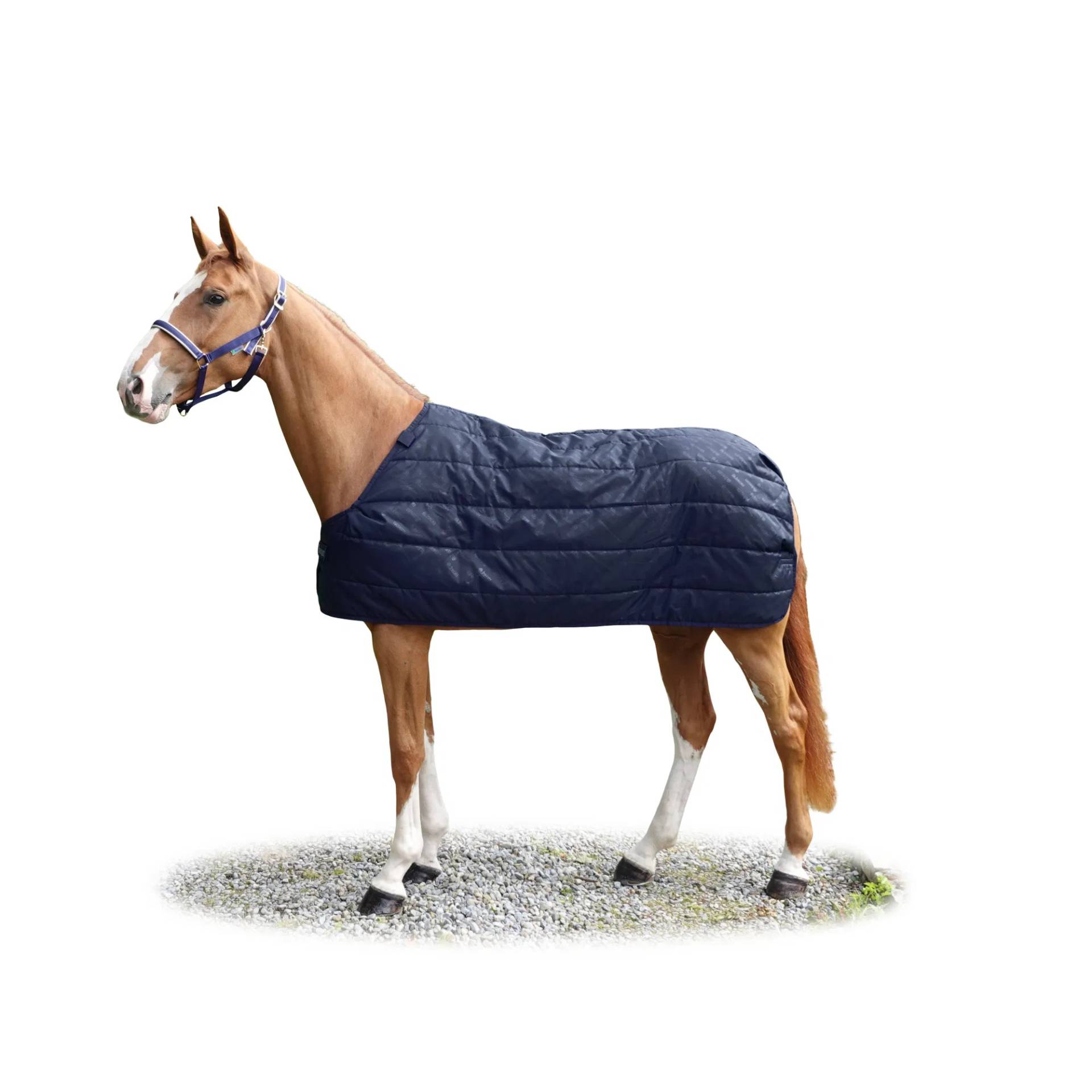 Bucas Unterdecke Liner 100g Navy, Gr. 155 cm Bucas Unterdecke Liner 100g Navy, Gr. 155 cm von Bucas