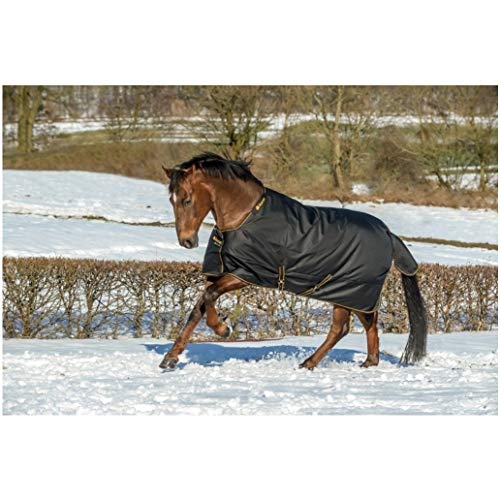 Bucas Winterdecke Extra 300g Füllung Irish Turnout Black/Gold 115cm + Hufkratzer Reiterladen24.de von Bucas