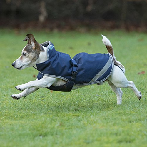 Bucas Freedom Dog Rug 300g, Navy/Silver (75) von Bucas