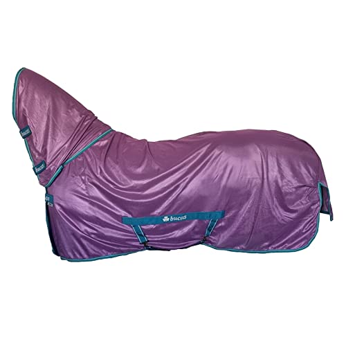 Freedom Fly Sheet F/N, 90, Violet/Green von Bucas