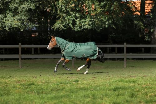 Freedom Turnout FullNeck 150/150, 145, Opal/Taupe von Bucas