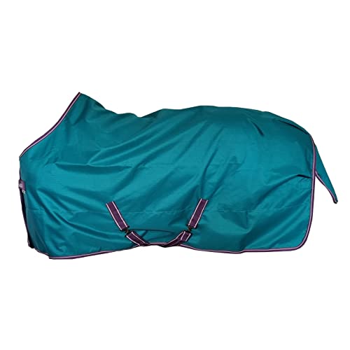 Freedom Turnout Light, 165, Green/Violet Freedom Turnout Light, 165, Green/Violet von Bucas