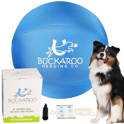 Herding Ball für Hunde und Pferde, 45,7 cm, Cyan von Buckaroo Herding Co