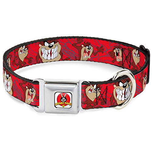 Buckle-Down 22,9–38,1 cm lta-Looney Melodien Logo weiß Hund Halsband Buckle-Down 22,9–38,1 cm lta-Looney Melodien Logo weiß Hund Halsband von Buckle-Down