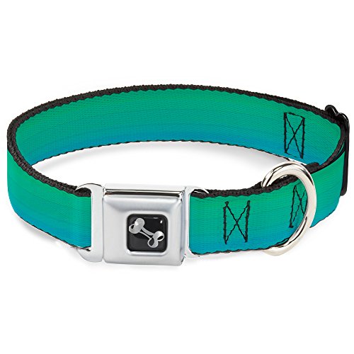 Buckle Down 27,9–43,2 cm Blaugrün Ombre Hundehalsband Bone, mittel Buckle Down 27,9–43,2 cm Blaugrün Ombre Hundehalsband Bone, mittel von Buckle-Down