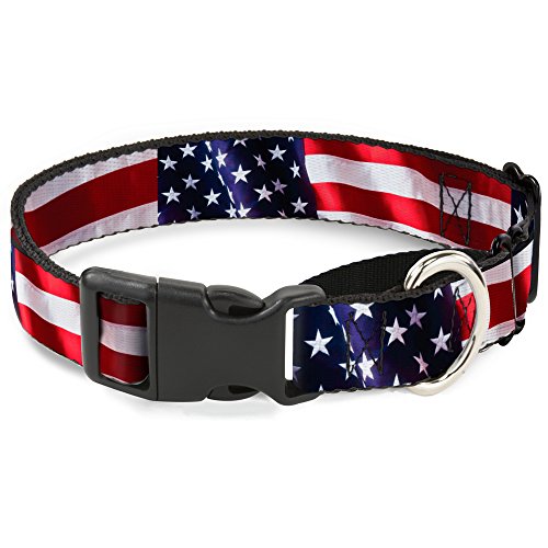 Buckle-Down American Flagge Vivid Nahaufnahmen Martingale Hundehalsband, 2,5 cm Wide-fits 27,9–43,2 cm Neck-medium Buckle-Down American Flagge Vivid Nahaufnahmen Martingale Hundehalsband, 2,5 cm Wide-fits 27,9–43,2 cm Neck-medium von Buckle-Down