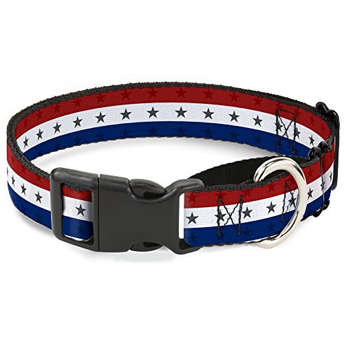 Buckle-Down Americana Star Martingale Hundehalsband, gestreift, 2,5 cm breit, passend für Halsumfang 38,1–66 cm, Rot/Weiß/Blau von Buckle-Down