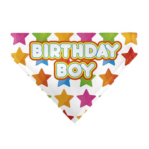 Buckle-Down Bandana mit Aufschrift "Birthday Boy" mit Text und Sternen, mehrfarbig, Weiß Buckle-Down Bandana mit Aufschrift "Birthday Boy" mit Text und Sternen, mehrfarbig, Weiß von Buckle-Down