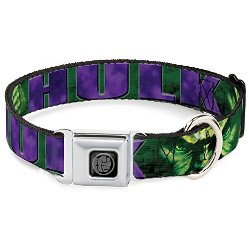 Buckle Down "Hulk Face C/U/Action Pose grünen/Violetttönen SICHERHEITSGURT Hund Halsband, 3,8 cm X 45,7–81,3 cm/groß Buckle Down "Hulk Face C/U/Action Pose grünen/Violetttönen SICHERHEITSGURT Hund Halsband, 3,8 cm X 45,7–81,3 cm/groß von Buckle-Down