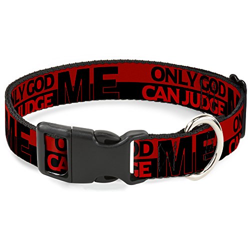 Buckle-Down bac-w31563-ns Breakaway Katzenhalsband, 1/5,1 cm breit – passt 15,2–22,9 cm Nacken – klein, nur Gott Zitat von Buckle-Down