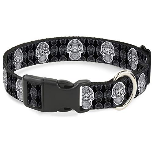 Buckle-Down bac-w31961-ns Breakaway Katzenhalsband, 1/5,1 cm breit – passt 15,2–22,9 cm Nacken – Kleine, Skulls von Buckle-Down