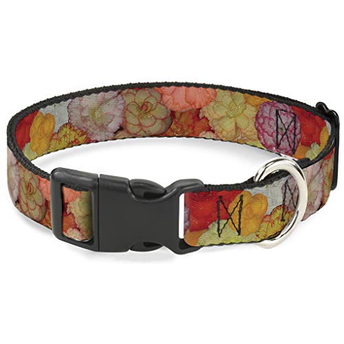 Buckle-Down bac-w32217-nl Breakaway Katzenhalsband, 1/5,1 cm breit – passt 22,9–38,1 cm Nacken – Large, Floral von Buckle-Down