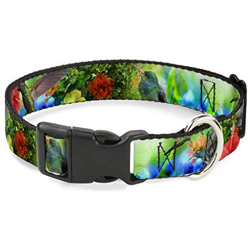 Buckle-Down bac-w32219-nl Breakaway Katzenhalsband, 1/5,1 cm Wide-fits 22,9–38,1 cm Neck-Large, Kolibri Buckle-Down bac-w32219-nl Breakaway Katzenhalsband, 1/5,1 cm Wide-fits 22,9–38,1 cm Neck-Large, Kolibri von Buckle-Down