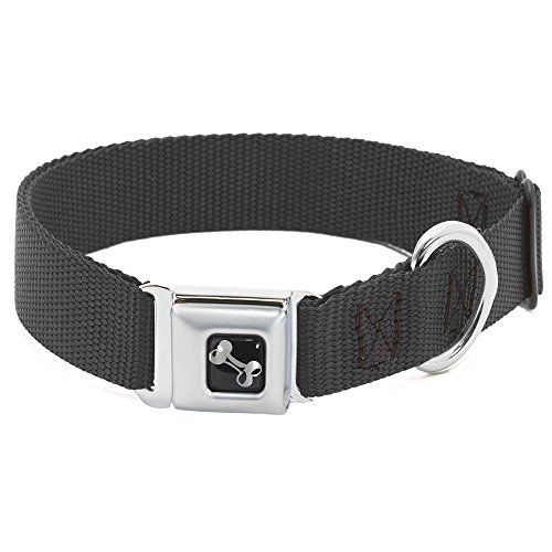 Buckle-Down dc-w10206-ws schwarz Nylon Hundehalsband, Sicherheitsgurt, klein Buckle-Down dc-w10206-ws schwarz Nylon Hundehalsband, Sicherheitsgurt, klein von Buckle-Down