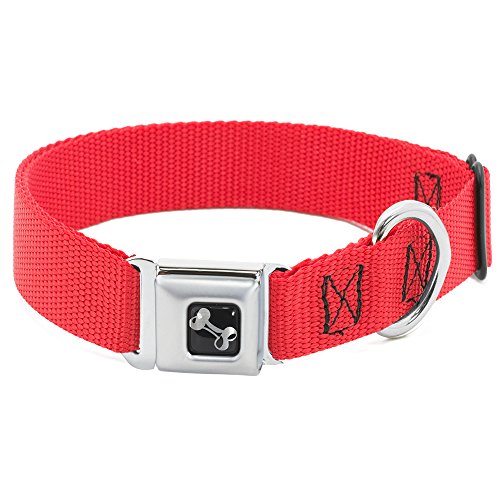 Buckle-Down dc-w11803-wm rot Nylon Hundehalsband, Sicherheitsgurt, Medium Buckle-Down dc-w11803-wm rot Nylon Hundehalsband, Sicherheitsgurt, Medium von Buckle-Down
