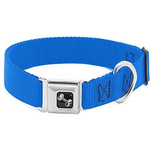 Buckle-Down dc-w11804-wl Royal Nylon Hundehalsband, Sicherheitsgurt, groß Buckle-Down dc-w11804-wl Royal Nylon Hundehalsband, Sicherheitsgurt, groß von Buckle-Down