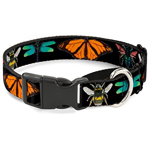 Buckle-Down mgc-w30942-m Insekten Nahaufnahmen schwarz Martingale Hundehalsband, Medium Buckle-Down mgc-w30942-m Insekten Nahaufnahmen schwarz Martingale Hundehalsband, Medium von Buckle-Down