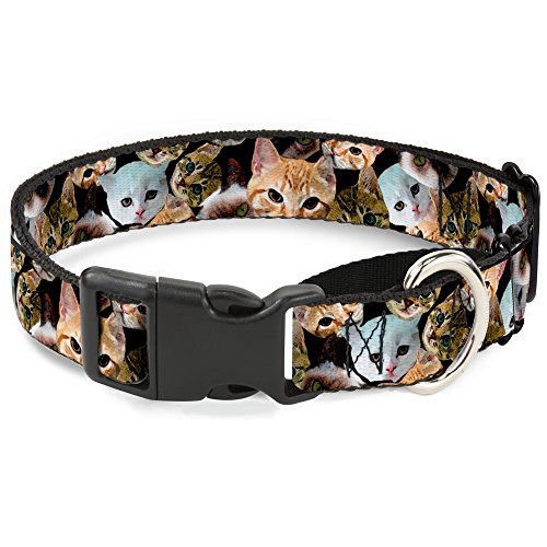 Buckle-Down mgc-w31107-s Kätzchen Faces verstreut schwarz Martingale Hundehalsband, klein Buckle-Down mgc-w31107-s Kätzchen Faces verstreut schwarz Martingale Hundehalsband, klein von Buckle-Down