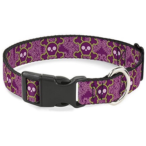 Buckle-down-Kunststoff-Schutzschale mit Paisley-Muster, Lila/Pink/Grün, 1 cm breit, für 11–17 Zoll Buckle-down-Kunststoff-Schutzschale mit Paisley-Muster, Lila/Pink/Grün, 1 cm breit, für 11–17 Zoll von Buckle-Down