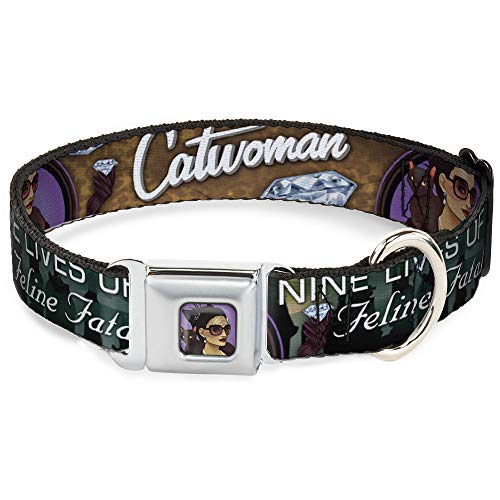 Buckle-down dc-wcw007-s CWF Catwoman Bombe Face Full Farbe Lila, Hundehalsband, kleine/22,9–38,1 cm von Buckle-Down
