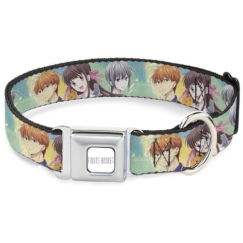 Crunchyroll Hundehalsband, Metall-Sicherheitsgurtschnalle, Obstkorb, Kyo Tohru Yuki Gruppenpose, Grün/Blau, 38,1 cm bis 61 cm, 2,5 cm breit Crunchyroll Hundehalsband, Metall-Sicherheitsgurtschnalle, Obstkorb, Kyo Tohru Yuki Gruppenpose, Grün/Blau, 38,1 cm bis 61 cm, 2,5 cm breit von Buckle-Down