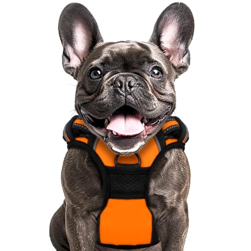 Buddy's Best Hundegeschirr, kein Ziehen, mit 2 Leinenclips, Frenchie-Geschirr, verstellbar, weich gepolstert, reflektierend, Sicherheits-Haustiergeschirr, für kein Würgen, Haustiertraining (Orange, Buddy's Best Hundegeschirr, kein Ziehen, mit 2 Leinenclips, Frenchie-Geschirr, verstellbar, weich gepolstert, reflektierend, Sicherheits-Haustiergeschirr, für kein Würgen, Haustiertraining (Orange, von Buddy's Best